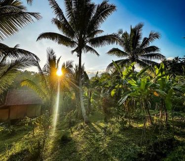 East Selemadeg Ski Chalet | JungleHavenBali - Private Nature Stay