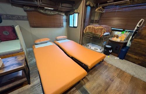 Shoshi Villa | JUNGLIA 15分-サウナ-Private Villa 405