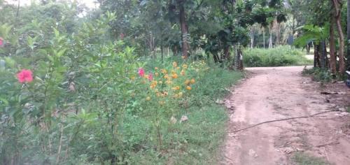 Chittur House | Jus Naturale Homestay
