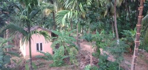 Chittur House | Jus Naturale Homestay