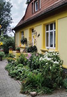 Ahlbeck Apartment | König