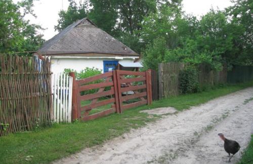 Kiev Oblast House | Kалиновий Kущ