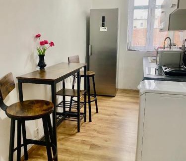 Teplice Apartment | Kael Apartment