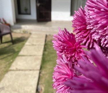 Shyamkhet House | KAFAL TREE Home Stay - PET FRIENDLY