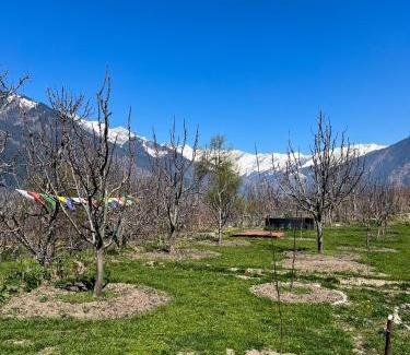 Jagatsukh Ski Chalet | Kahaani - Luxury Wooden Chalet in Manali