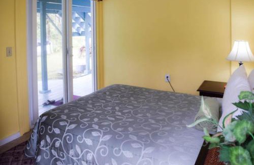 Mountain View House | Kahu 'lo - Guardian Hawk