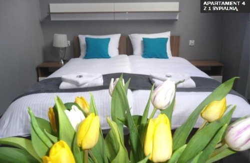Elblag Apartment | Kamienica Grand Starówka
