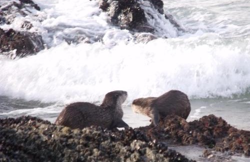 Nature's Valley Apartment | Kamma-Otter