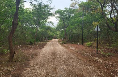 Lusaka Apartment | Kamps Apartment - Foxdale Forest