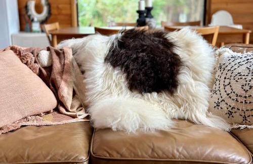 Kangaroo Valley House | Kangaroo Valley Timber Cabin