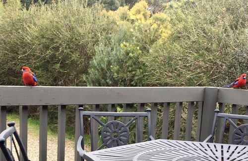 Halls Gap House | Kanguarra Holiday House