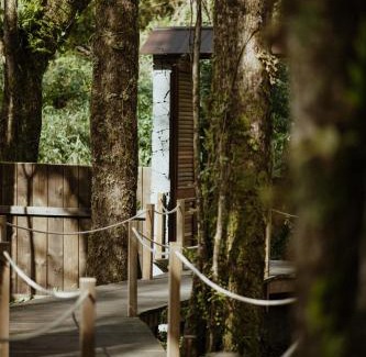 Saint-Benoit Cabin | Kanopea Forest Lodge