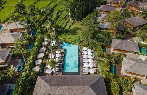 Kedewatan Resort | Kappa Senses Ubud