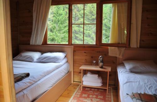 Ayder Yaylasi Ski Chalet | Kardelen Bungalov Evleri̇
