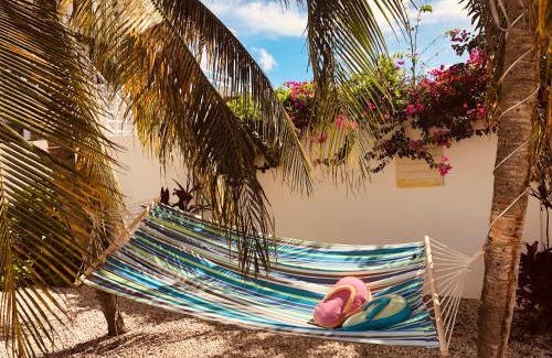 Opal Hotel | Karibu Aruba Boutique Hotel