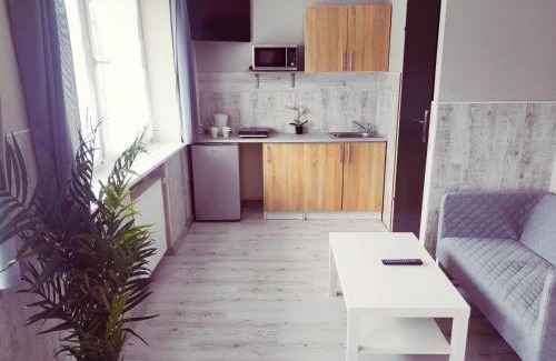 Stare Miasto District Apartment | Kawalerki z Kuchnią - self check in - Studios with Kitchen