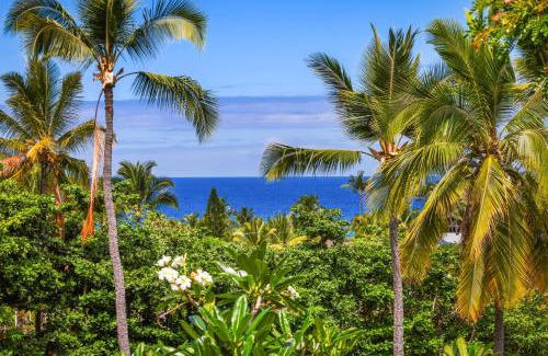 Keauhou Apartment | Keauhou Resort - Entire Ocean & Sunset View Condo, 2 Lanais, AC