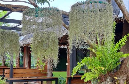 Sop Ruak Cabin | Kham Ecolodge