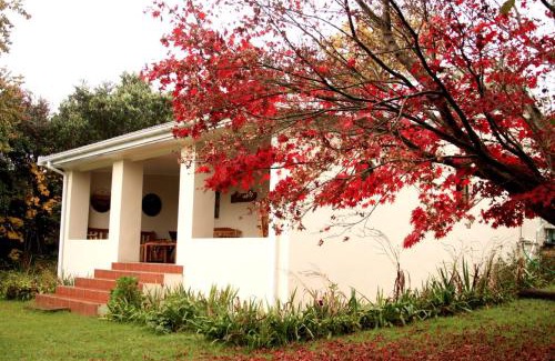Hogsback Apartment | Khayalethu Cottage