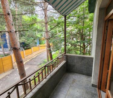 Tsaghkadzor Apartment | King