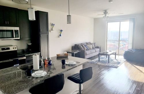 Central West End Apartment | King Suite- Prime CWE Spot w/Lux Amenities (315)