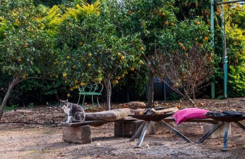 Bet Lehem HaGelilit Hotel | Kirshner Farm