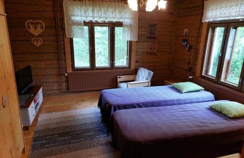 Liperi Apartment | Kissankello, nostalginen rauhoittava huoneisto