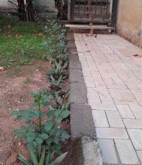 Entebbe Apartment | Kisubi Forest View