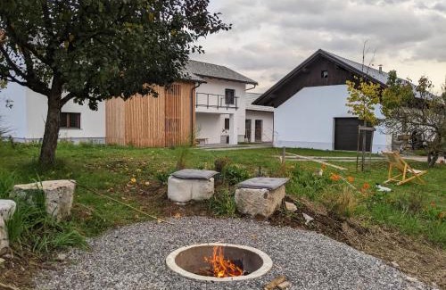 Hrib pri Hinjah Apartment | Klančarjeva domačija - Spacious countryside apartment on an eco farm