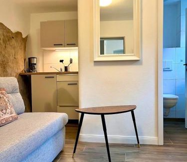 Stadt Wehlen Apartment | Kleines Natursteinapartment 4 für 1 bis max 2 Personen