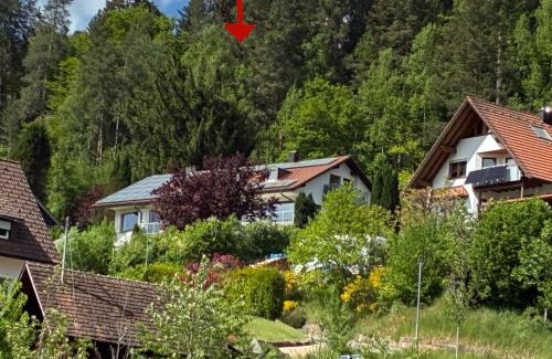 Klosterreichenbach Apartment | Klosterquelle