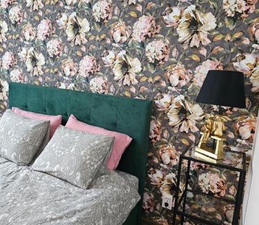 Koknese Apartment | Koknese City Apartment