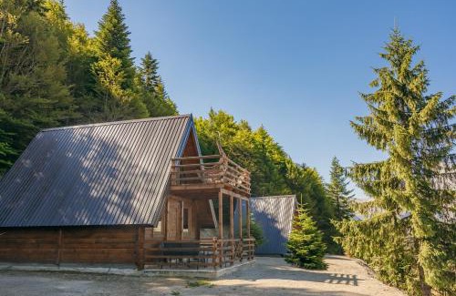 Montenegro Ski Chalet | Komovi Luxury House