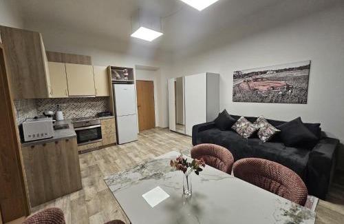 Golcuv Jenikov Apartment | Kompletně vybavený byt s ložnicí v centru u divadla