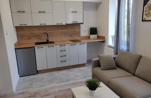 Pabianice Apartment | Konopnickiej 9 Studio z antresolą PTAK, Orientarium, Atlas ARENA, Szpital, Mandoria, Fala, Centrum Zdrowia Matki Polki, Rodzina, Family, bezpłatny parking