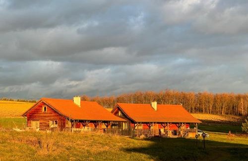 Heiligenkreuz im Lafnitztal House | Krumphof