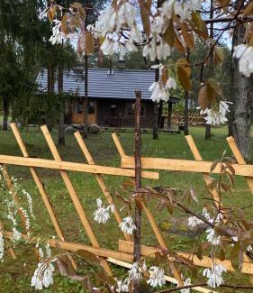 Saaremaa House | Kuldvitsa puhkemaja saunaga