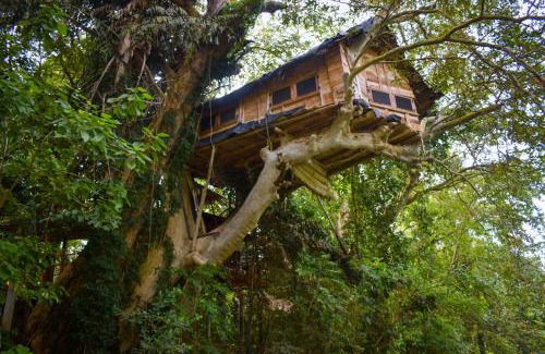 Debarawewa Villa | Kumbuk Tree House