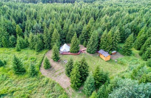 Kohila Other | Kuusehaldja Glamping
