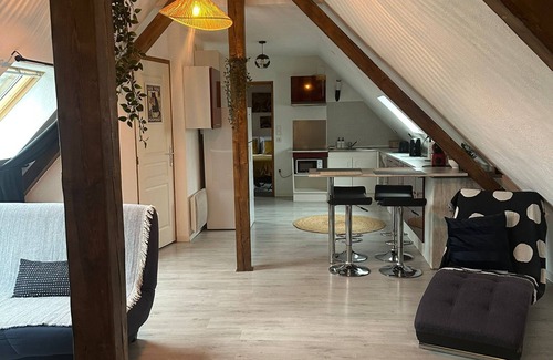 Entzheim Apartment | L' alcôve Confortable. air-conditioned apartment 15 m from Strasbourg!