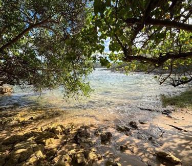 Le Moule House | L'Amandier de Suzana - Plage intimiste juste en face