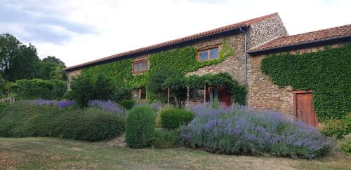 Saint-Austremoine House | L'Estivante