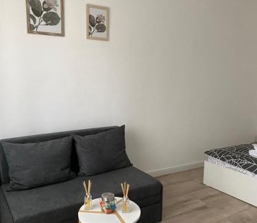 Tirgu Mures Apartment | L&M Apartment
