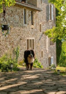 Larroque House | La bastide de Meilhouret