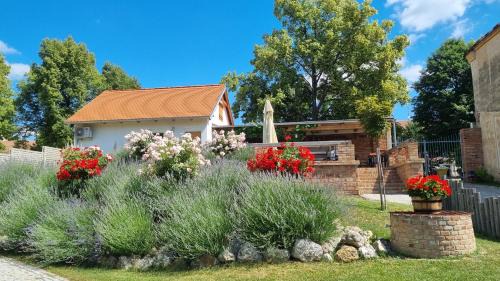 Drnholec House | La Bobul Apartments