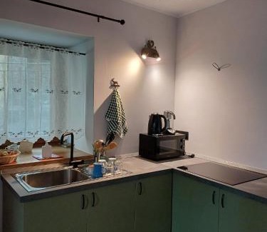 Ala di Stura Apartment | La cò viéyi - La casa vecchia