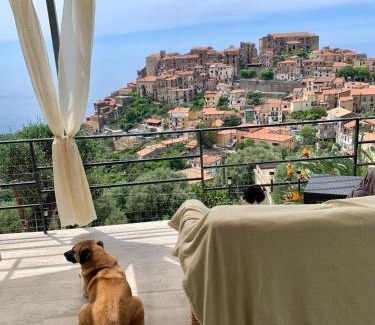 Marina di Pisciotta Apartment | la casa dei fiori