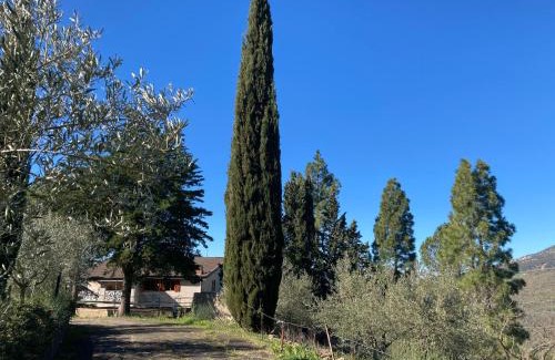 Gagliano Castelferrato Cabin | La Casa Delle Olive