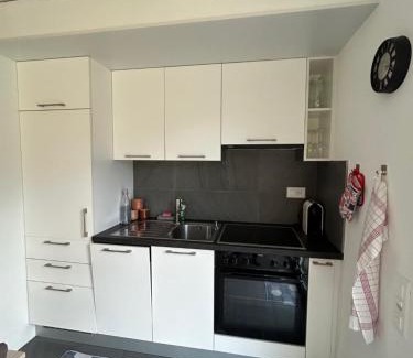 Arbedo-Castione Apartment | La Casa di SaSa