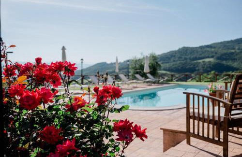 San Venanzo Apartment | La casa di Sofia